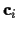 ${\bf c}_i$